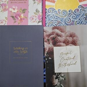 The Daily Grace Christian Religious Writing Journals Books Devotionals Qty 4